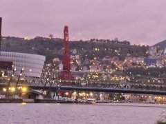 Foto de Naiel - IMG_20241006_195129.jpg