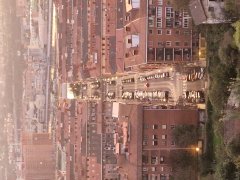 Foto de Naiel - 20241020_192829.jpg