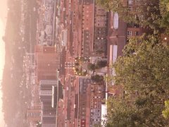 Foto de Naiel - 20241020_192924.jpg