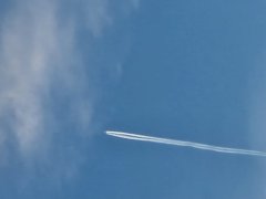 Foto de Naiel - 20250223_183508.jpg