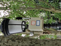 Foto de Naiel - 20250504_172855.jpg