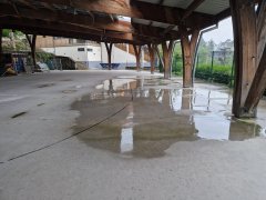 Foto de Naiel - 20250504_192131.jpg