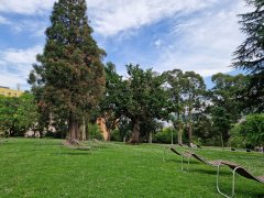 Foto de Naiel - 2025-05-18_17-58-14_20250518_175813.jpg