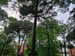 Foto de Naiel - 2025-05-18_17-58-32_20250518_175831.jpg