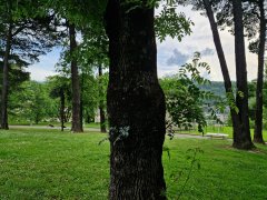 Foto de Naiel - 2025-05-18_17-58-35_20250518_175835.jpg