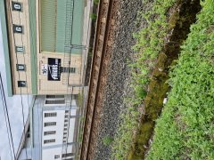 Foto de Naiel - 20250615_132145.jpg