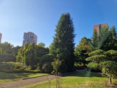 Foto de Naiel - 20250914_182119.jpg