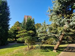 Foto de Naiel - 20250914_182121.jpg