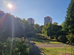 Foto de Naiel - 20250914_182125.jpg