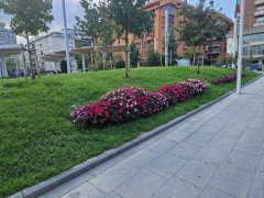 Foto de Naiel - 20250928_175235.jpg