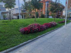 Foto de Naiel - 20250928_175236.jpg