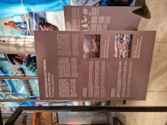 Foto de Naiel - 20251026_174736.jpg