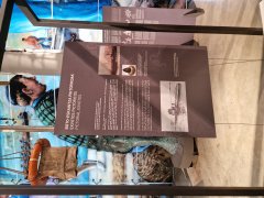 Foto de Naiel - 20251026_174754.jpg