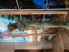 Foto de Naiel - 20251026_174826.jpg