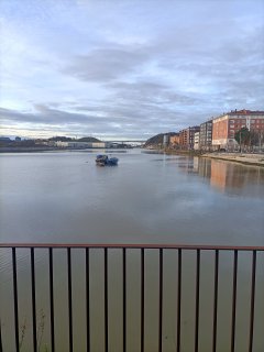 Foto de Alejandro - IMG20260201174603.jpg